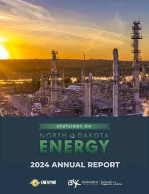 Cover of the anual report